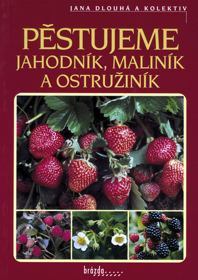 Knizniklub.cz: Pěstujeme jahodník, maliník a ostružiník