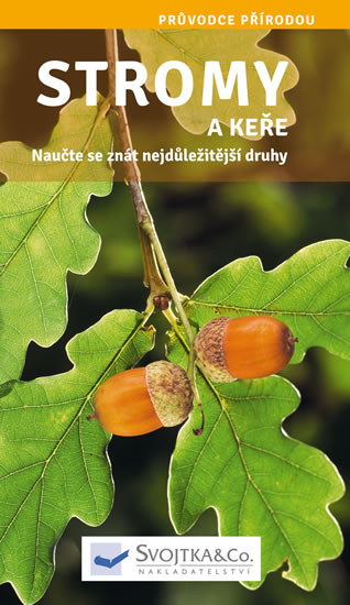Knizniklub.cz: Stromy a keře - Naučte se znát nejdůležitější druhy