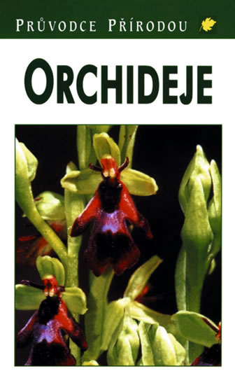 Orchideje - Steinbach