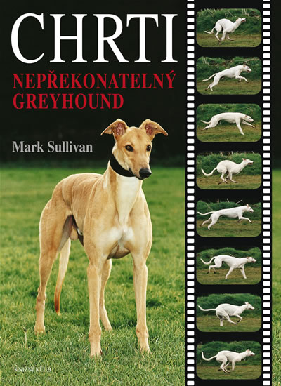 Chrti - Nepřekonatelný Greyhound