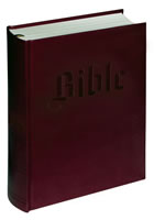 Detail titulu Bible (malá)