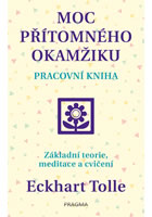 Moc přítomného okamžiku – pracovní kniha