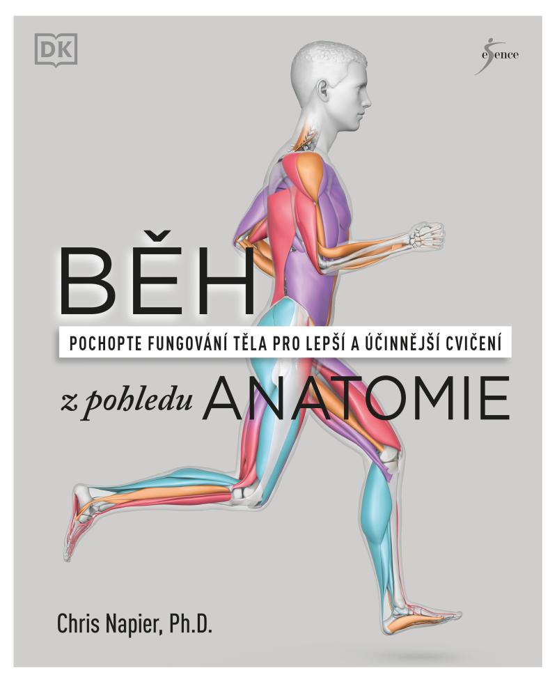 Běh z pohledu anatomie - Správná technika, prevence před zraněním, nastavení tréninku