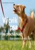 Detail titulu Výcvik psa na procházkách - Šestitýdenní tréninkový plán