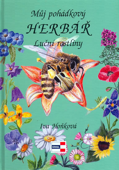 Lucni Rostliny Herbar (bylina čeledi, Popis Charakteristika, jako jsou) Lucni Rostliny Herbar