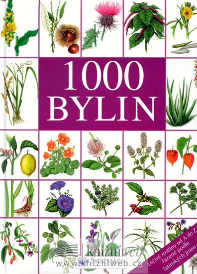 Knizniklub.cz: Bylin