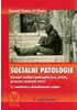 Detail titulu Sociální patologie - Závažné sociálně patologické jevy, příčiny, prevence, možnosti řešení