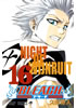 Detail titulu Bleach 16: Night of Wijnruit