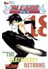 Detail titulu Bleach 18: The Deathberry Returns