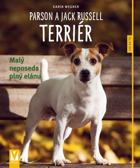 PARSON A JACK RUSSELL TERIÉR (JAK NA TO)