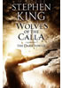 Detail titulu Dark Tower 5: Wolves of Calla