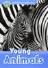 Detail titulu Oxford Read and Discover 1 Young Animals Audio CD Pack