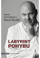 Labyrint pohybu