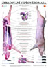 Detail titulu Plakát - Zpracování vepřového masa