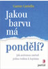 Detail titulu Jakou barvu má pondělí? - Jak autismus změnil jednu rodinu k lepšímu