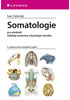Detail titulu Somatologie pro předmět Základy anatomie a fyziologie člověka