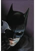 Detail titulu Batman Vol. 1 (Rebirth)