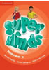 Detail titulu Super Minds Level 4 Flashcards (Pack of 89)