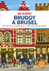 Detail titulu Brusel a Bruggy do kapsy - Lonely Planet