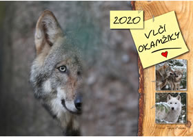 Kalendář 2020 - Vlčí okamžiky