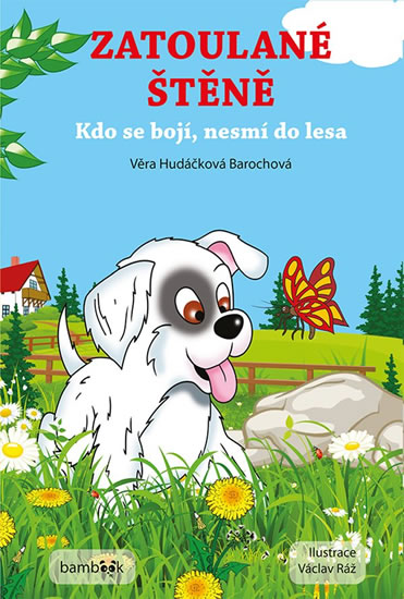 ZATOULANÉ ŠTĚNĚ/BAMBOOK