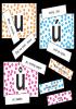Detail titulu Samohlásky u-ú-ů - slovní spojení na kartičkách k procvičení psaní u/ú/ů
