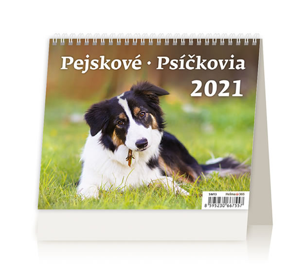 2021 PEJSKOVÉ STOLNÍ MINIMAX