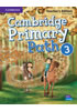 Detail titulu Cambridge Primary Path 3 Teacher´s Edition