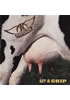 Detail titulu Aerosmith: Get A Grip - 2 LP