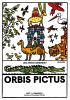 Detail titulu Orbis pictus