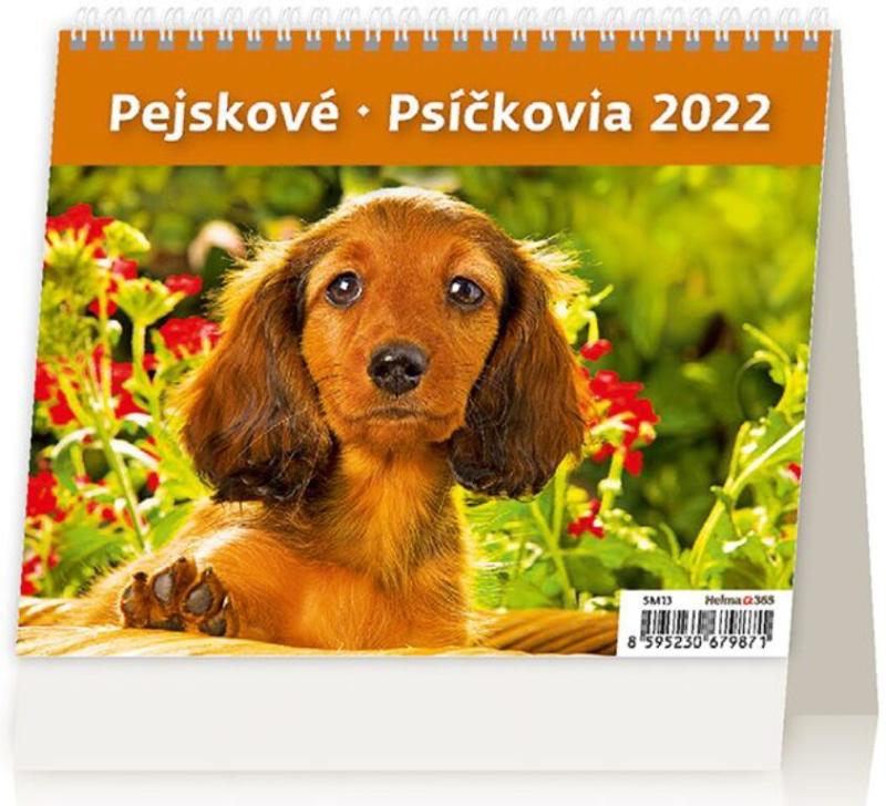 2022 PEJSKOVÉ STOLNÍ MINIMAX