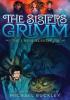 Detail titulu Sisters Grimm: Book Two: The Unusual Suspects (10th anniversary reissue)