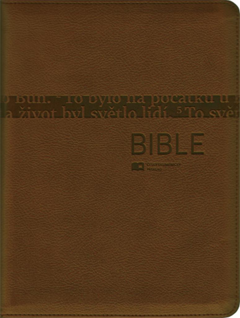 BIBLE 1291 BRONZOVÁ SE ZIPEM