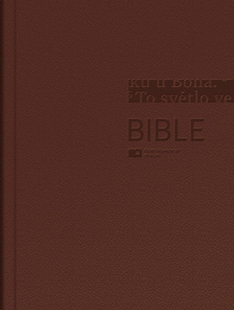 BIBLE 1271 HNĚDÁ LESK S DT