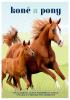 Detail titulu Koně a pony - Vše o koních, jejich plemenech, chovu, výcviku a vybavení pro jezdectví