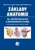 Detail titulu Základy anatomie. 3b - Močopohlavní a endokrinní systém