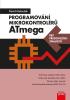 Detail titulu Programování mikrokontrolérů ATmega bez předchozích znalostí