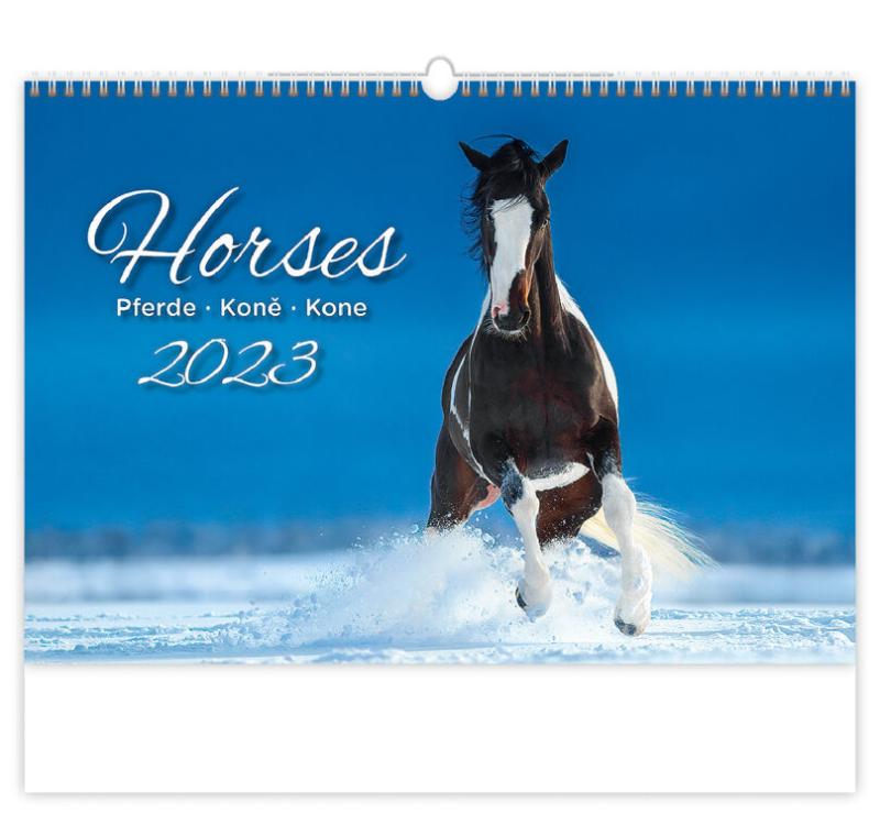 2023 HORSES NÁSTĚNNÝ