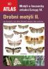 Detail titulu Drobní motýli II. - Motýli a housenky střední Evropy VI.