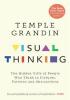 Detail titulu Visual Thinking : The Hidden Gifts of People Who Think in Pictures, Patterns and Abstractions