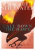 Detail titulu Call Down the Hawk (The Dreamer Trilogy #1)