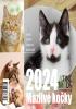 Detail titulu Kalendář 2024 Mazlivé kočky, stolní, týdenní, 150 X 130 mm