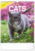 Detail titulu Kalendář 2024 nástěnný: Kočky, 30 × 34 cm