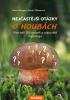 Detail titulu Nejčastější otázky o houbách - Více než 100 otázek a odpovědí mykologů