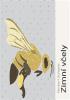 Detail titulu Zimní včely - CDmp3 (Čte Lukáš Hlavica)