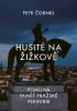 Detail titulu Husité na Žižkově / Pomíjivá paměť pražské periferie