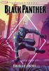 Detail titulu Marvel Action Black Panther - Bouřlivé počasí