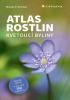 Detail titulu Atlas rostlin - Kvetoucí byliny