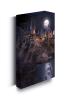 Detail titulu Harry Potter Obraz LED svítící 30x40 cm - Bradavice hrad
