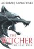 Detail titulu The Last Wish: The bestselling book which inspired season 1 of Netflix´s The Witcher